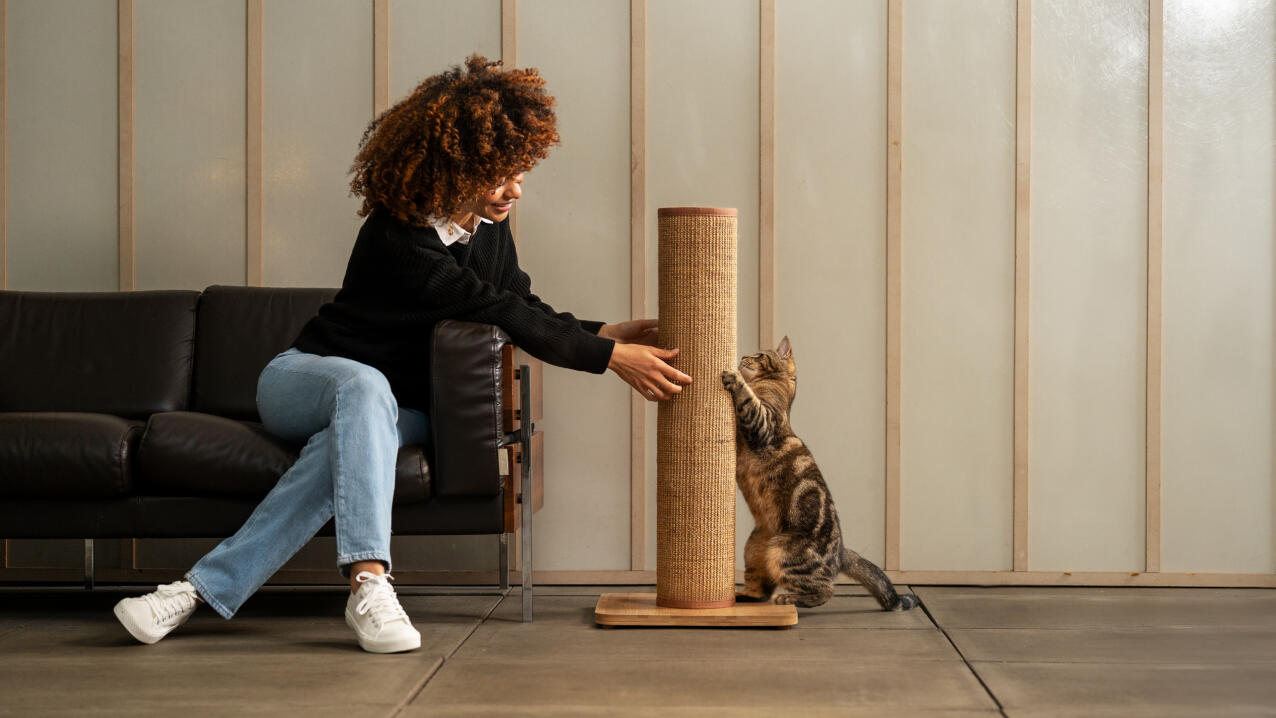 woman on a sofa playing with her cat using the Switch cat scratcher