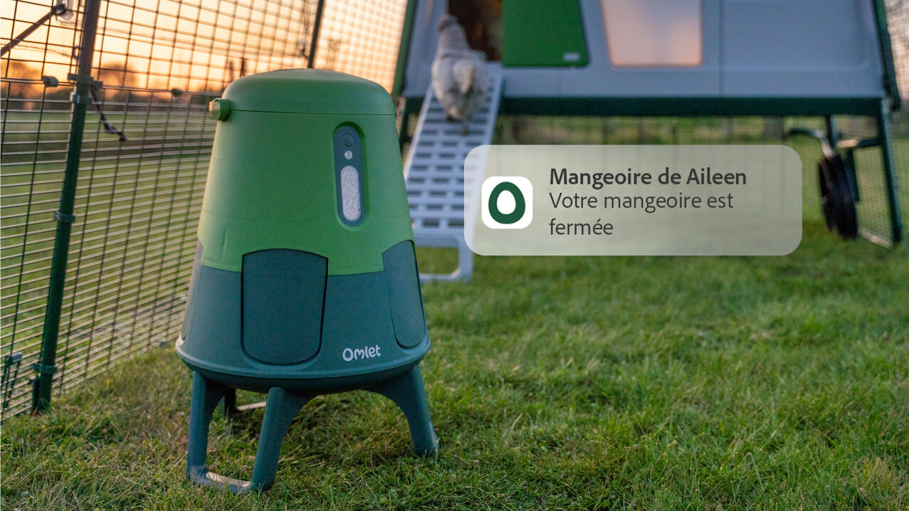 smart chicken feeder closed with a phone notification message