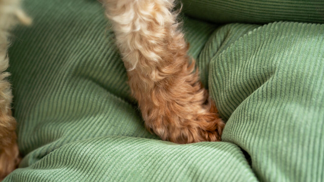 detail of durable corduroy nest dog beds by omlet