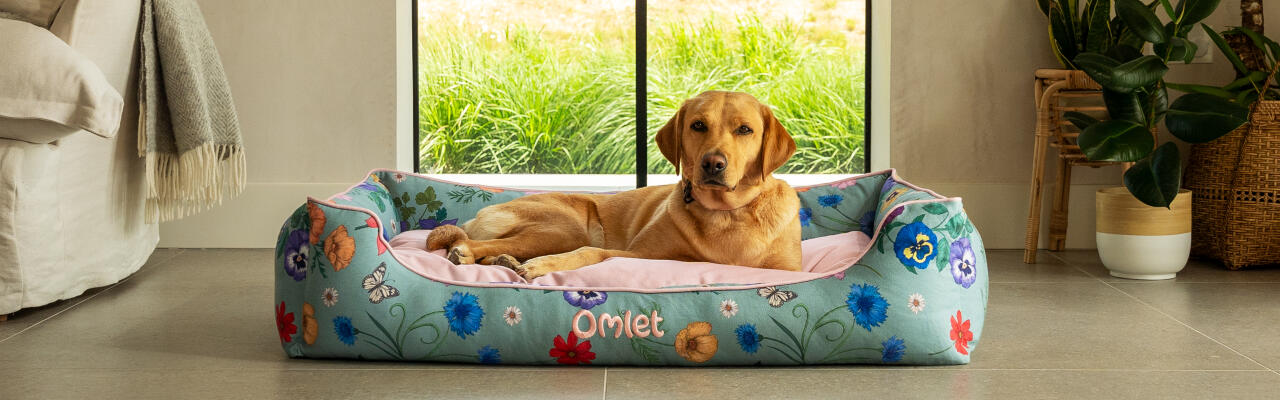 Labrador retriever on large nest dog bed in Gardenia Sage print.