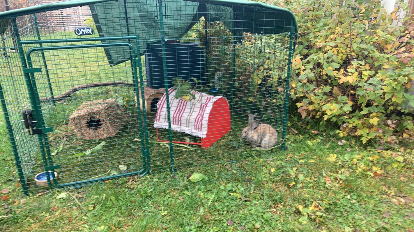 Outdoor Rabbit Run Large Outdoor Rabbit Enclosure