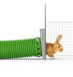 Zippi Rabbit Tunnel System