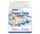 Dog & Puppy Training