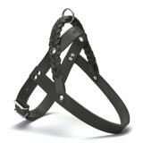 Dog Harnesses