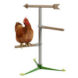 Freestanding Chicken Perch