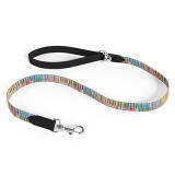 Dog Leads