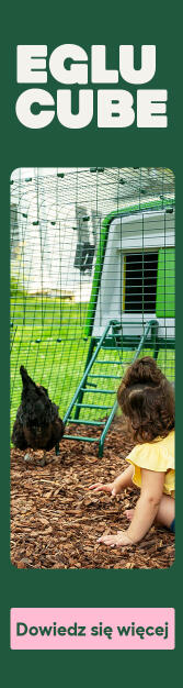 Eglu Cube chicken coop by Omlet
