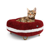 Fluffy Self-Warming Calming Donut Pet Bed for Indoor Cats,Machine Washable（24 in Champagne） OYANTEN Cat Beds for Indoor Cats with Removable Cover 