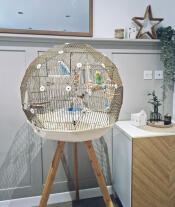 Two budgies inside of the Omlet geo bird cage.