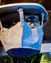 A cat sitting in the freestyle cat tree hammock.