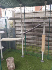 The outdoor freestyle cat tree set up with various accessories.