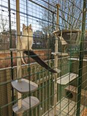 A cat sat on the platform of the outdoor freestyle cat tree
