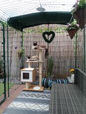 Cats spending time in their large catio.