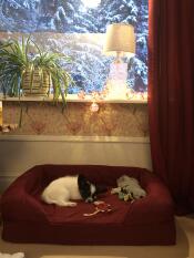 A little dog sleeping on a red bolster bed