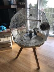 geo cage on a short stand with two budgies inside