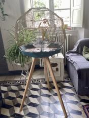 A bird cage in a room
