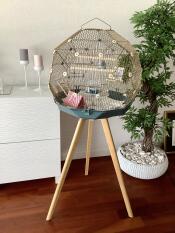 Geo bird cage with teal base and gold mesh on stand in a living room.