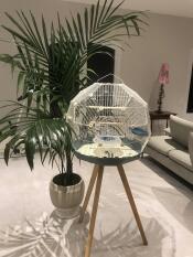 Omlet Geo Bird Cage with White Cage, Base and Tall Legs