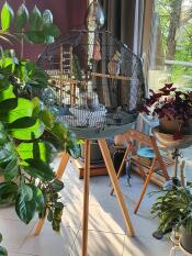Omlet Geo Bird Cage with Black Cage, Teal Base and Tall Legs