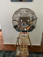 A teal and gold bird cage