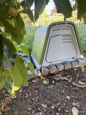 A green Eglu Go guinea pig hutch in a shaded part of the garden.