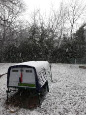 a large cube chicken coop in a garden covered in snow