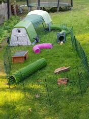a rabbit setup in a a garden with a green go and run