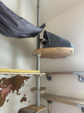 A cat resting in the freestyle cat den, attached to the indoor freestyle cat tree.