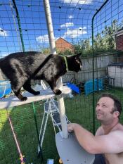 A cat stood on the plastic step watching a man attach it to the cat tree.