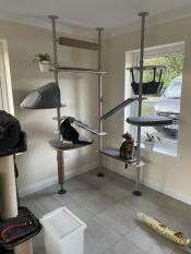 Two cats sat on Freestyle Indoor Cat Tree platforms.