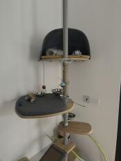A cat sleeping in the platform den with yellow cushion attached to the freestyle cat tree.