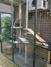 A cat sitting on the platform attached to the outdoor freestyle cat tree that is set up with various accessories.