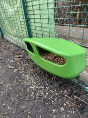 A green Eglu Cube Feeder.