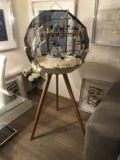 Omlet Geo Bird Cage with Black Cage, Cream Base and Tall Legs