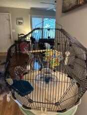 A close up of the Geo bird cage.