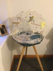 A very good design plenty of space for Bonny and Clyde to fly around 