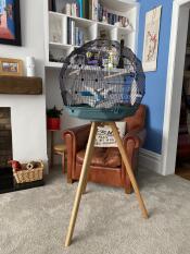 Absolutely thrilled with the cage and stand - Norman is the happiest Budgie in the world!!!