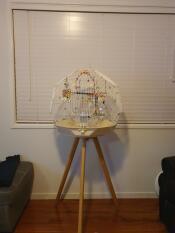 geo cage on a stand for budgie birds with cream base