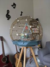 A teal and gold bird cage on a wooden stand