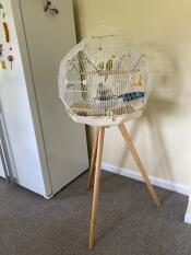Two birds in the cream and gold Geo bird cage.