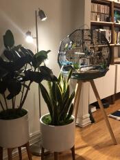 Omlet Geo Bird Cage with Black Cage, Teal Base and Tall Legs