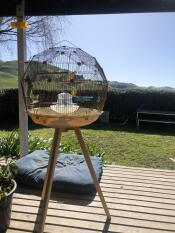A bird cage installed on a sunny wooden terrace