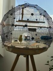 An Omlet Geo Bird Cage.