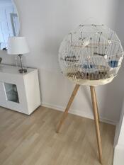 The cream and gold Geo bird cage set up in a living room.