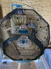 Geo Bird Cage with Black Cage and Teal Base