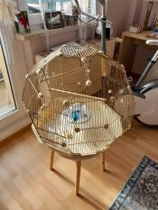 The cream and gold Geo bird cage set up.