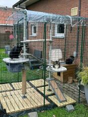 Two cats sat in a catio with the Freestyle cat trees set up with various accessories.