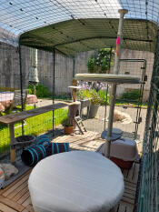 A catio set up with the outdoor freestyle cat tree.