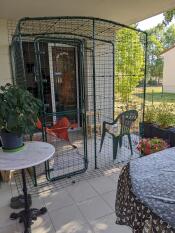 The outdoor cat run set up on a patio.