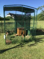 Omlet Catio in garden
